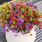 Artificial Flowers for Outdoors Faux Plants Outdoor Fake Flowers Spring Decoration,12 Bundles Faux Silk Colorful Daisy Realistic UV Resistant1for Outside Home Planter Window Porch Patio Yard